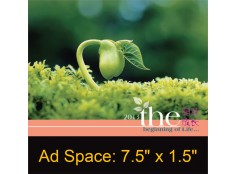 Desk Calendar DC 4